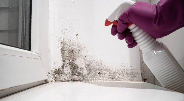 Best 24-hour water damage restoration  in Berlin, NJ